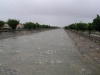 Ambiente - Escorrentías Pluviales: Canal