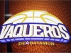Logo de equipo de Vaqueros