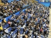 Fanaticada