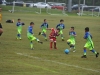 Jugadores