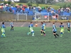 Jugadores