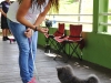 Clases Obediencia Canina-19.jpg