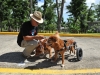 Jaime Ramirez entrenador y presidente del Centro de Entrenamiento Canino de Bayamon.jpg
