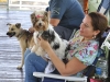 Participantes del programa de obedicencia canina.jpg