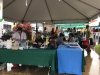 Mercado Urbano  MCS