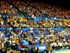 Fanaticada en las gradas