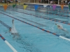Natacion-Juegos-de-PR-8