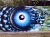 Junte de Grafiteros Pinta Bayamón al Son de Hip Hop