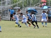 Liga Elite de Fútbol de Puerto Rico en el Bayamon Soccer Complex