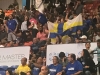 Fanaticada de los Vaqueros