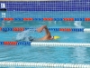 Natacion Calcano-3.jpg