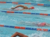 Natacion Calcano-56.jpg