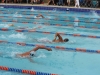 Natacion Calcano-60.jpg