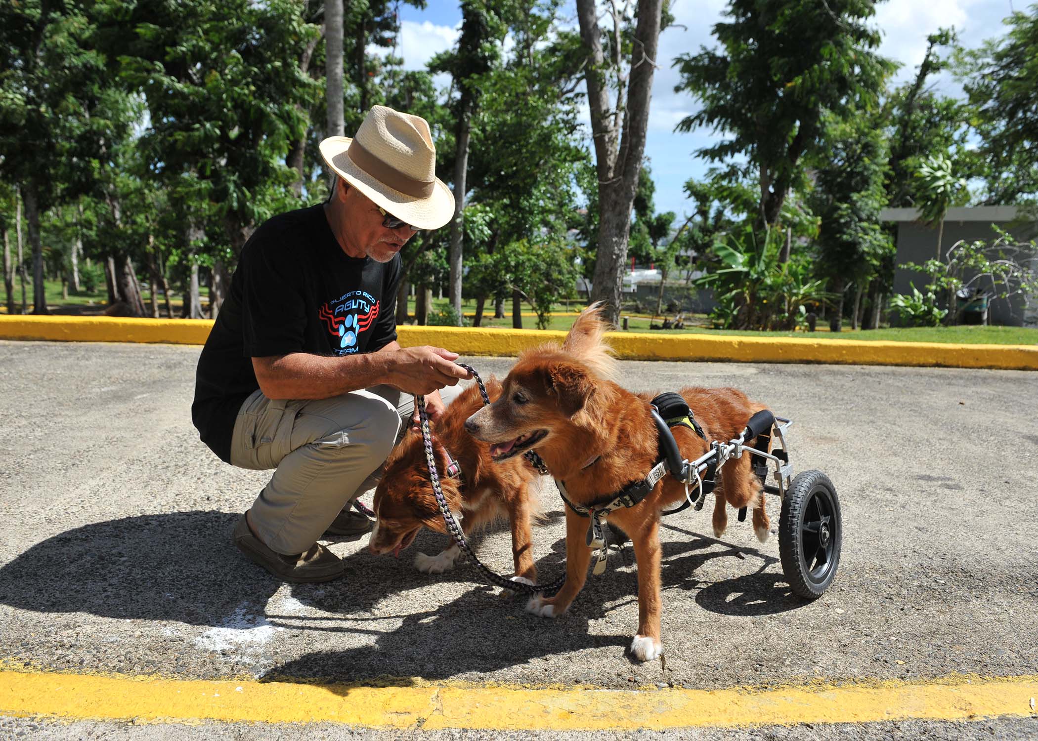Jaime Ramirez entrenador y presidente del Centro de Entrenamiento Canino de Bayamon.jpg