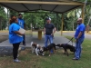 Matricula clases caninas-2.jpg