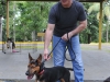 Matricula clases caninas-6.jpg