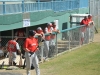 Partido de Baseball entre PR vs New England