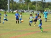 Bayamon Soccer Complex- Copa Alc-2-23-2019-14.jpg