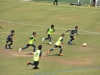 Bayamon Soccer Complex- Copa Alc-2-23-2019-4.jpg
