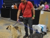 Spayathon en el Coliseo Ruben Rodríguez