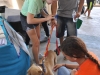 Spayathon en el Coliseo Ruben Rodríguez