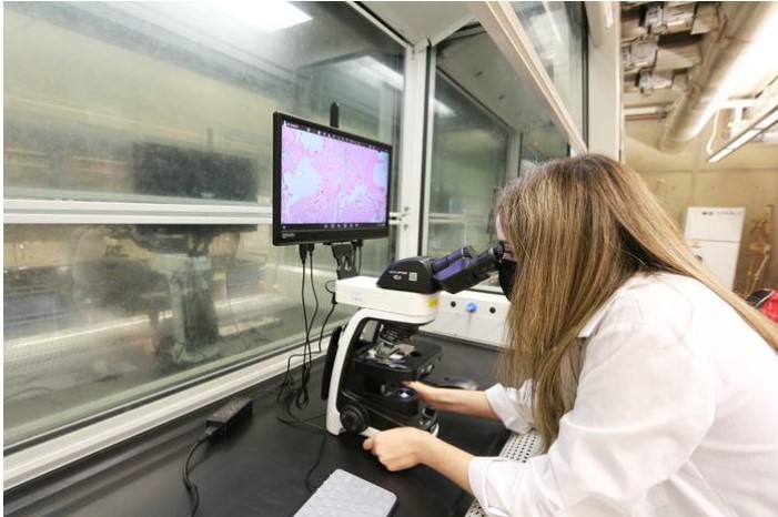 UPR-Bayamón Estrena Laboratorios de Biología con Microscopios Vanguardistas