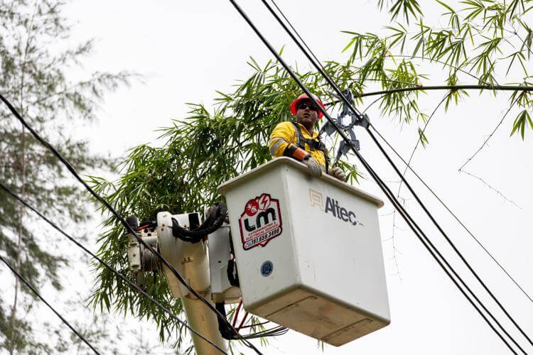 El Municipio de Bayamón Activa Brigadas para la Restauración de la Red Eléctrica