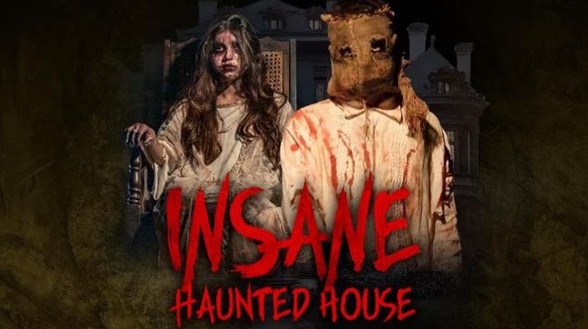 Insane Haunted House
