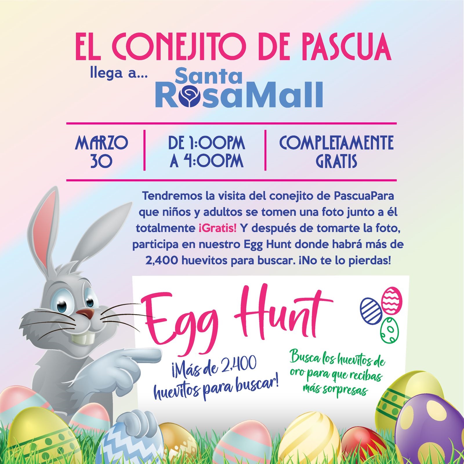 Promocion Egg Hung en Santa Rosa