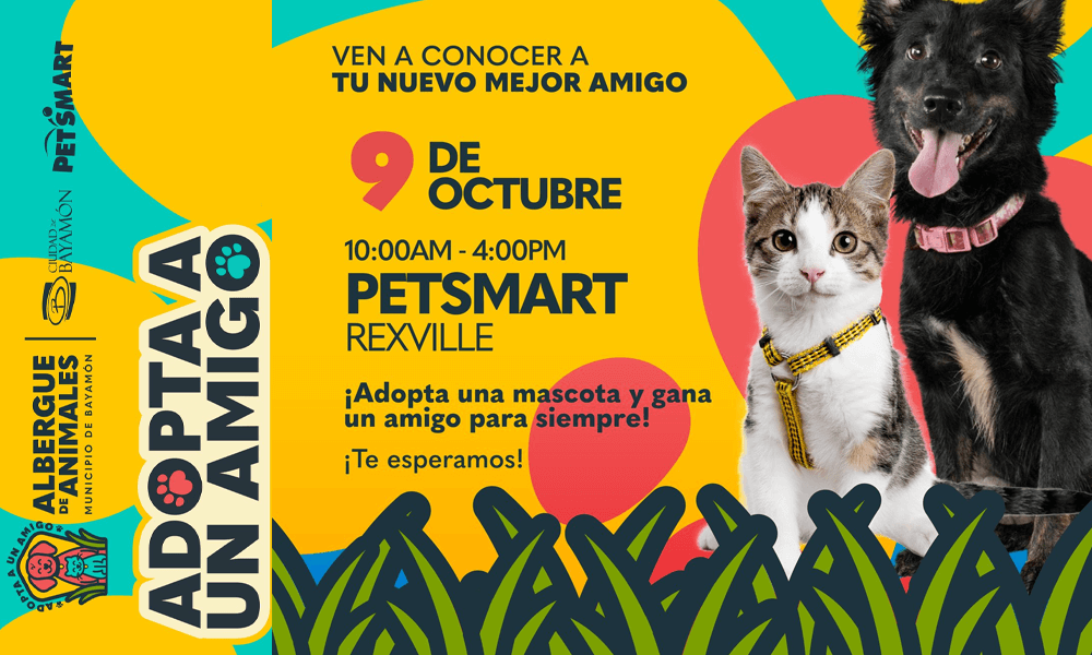 Adopta un Amigo el 9 de octubre en Petsmart de Rexville