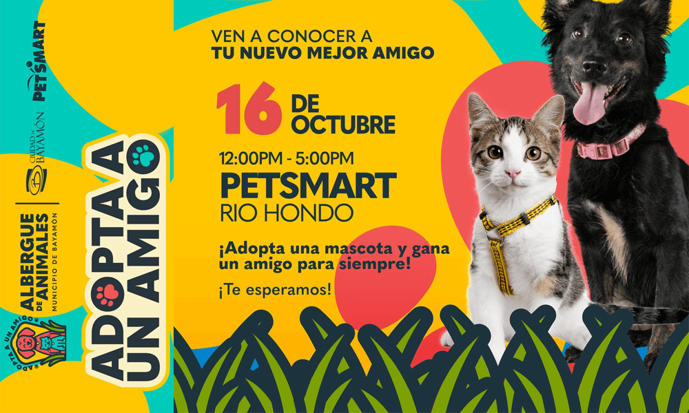 Adopta un Amigo el 16 de octubre de 2025 en Petsmart Rio Hondo