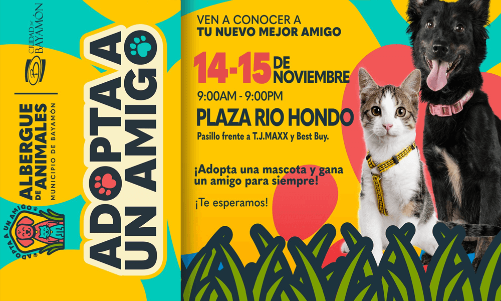 Adopta un Amigo en Plaza Río Hondo del 14-15 de noviembre