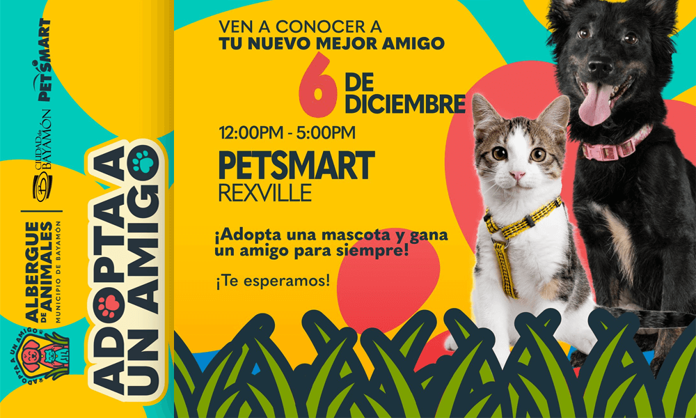 Adopta un Amigo en Petsmart de Rexville el 6 de diciembre de 12-5PM