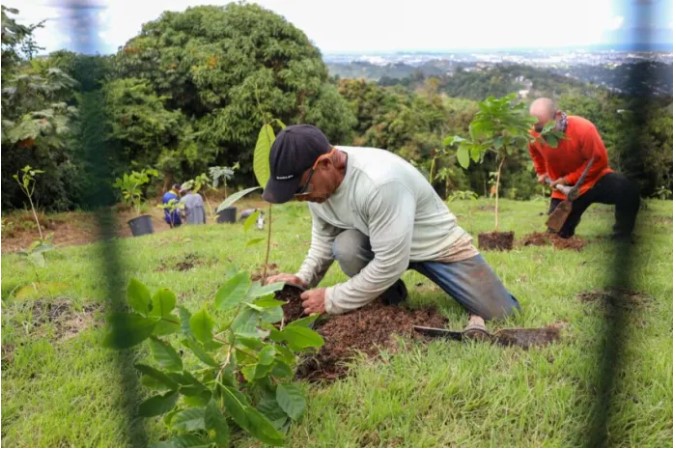 proyecto Ensueño