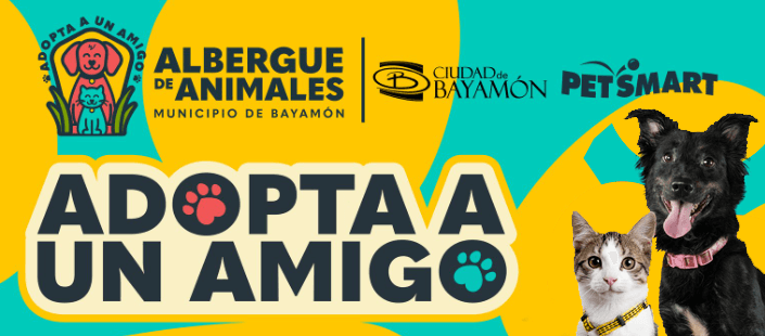 Empezamos el año de la mejor manera: con nuestras ferias de adopción junto a PetSmart.