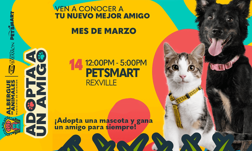 Adopta un Amigo el 14 de marzo en Petsmart en Rexville