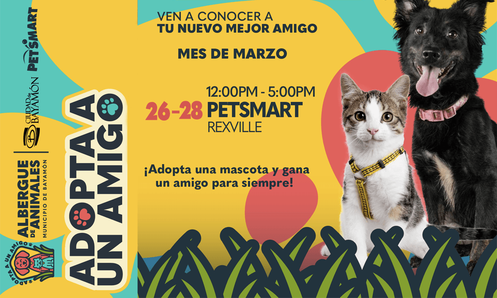 Adopta un Amigo en Petsmart de Rexville del 26-28 de marzo de 2026