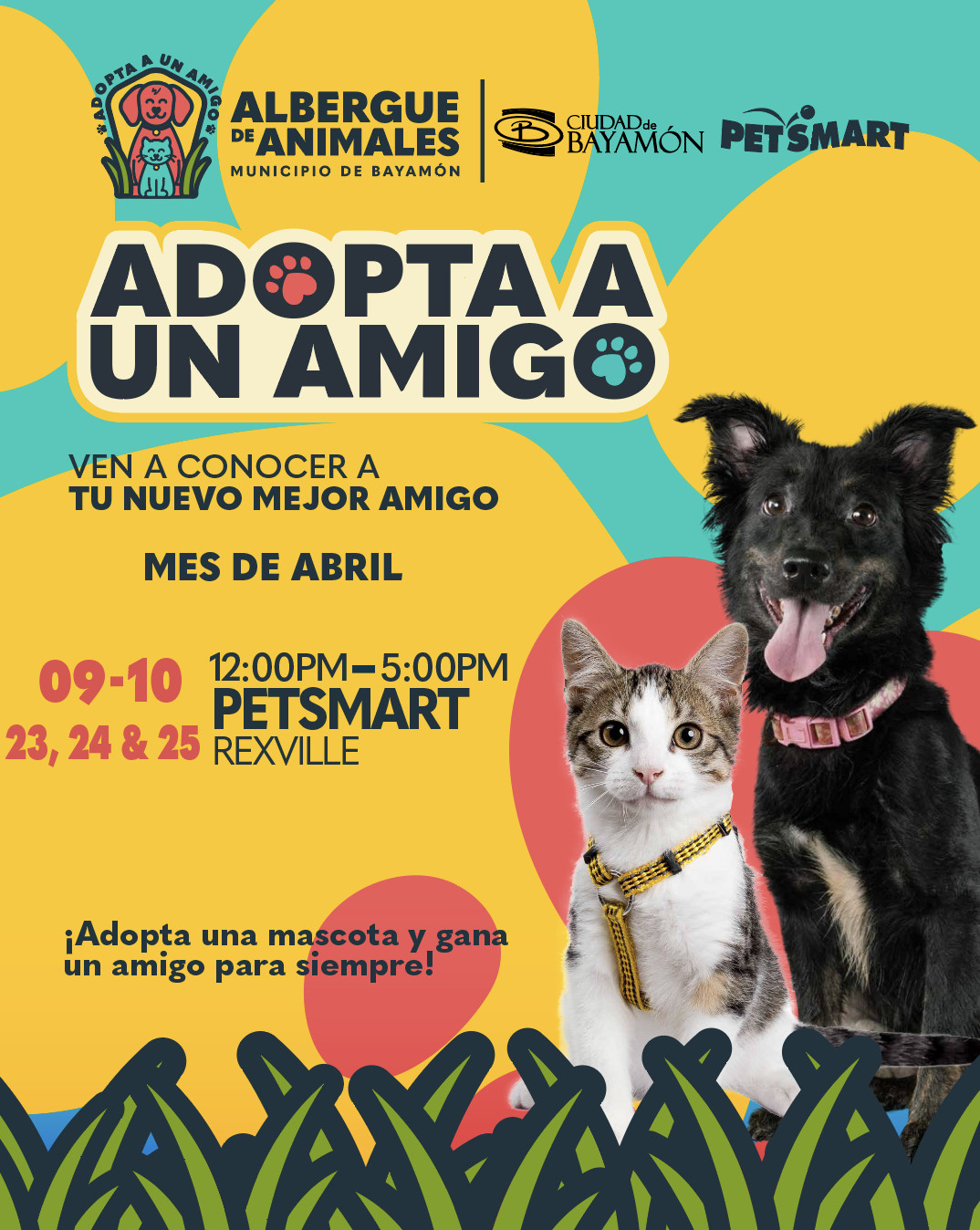 Adopta a un amigo