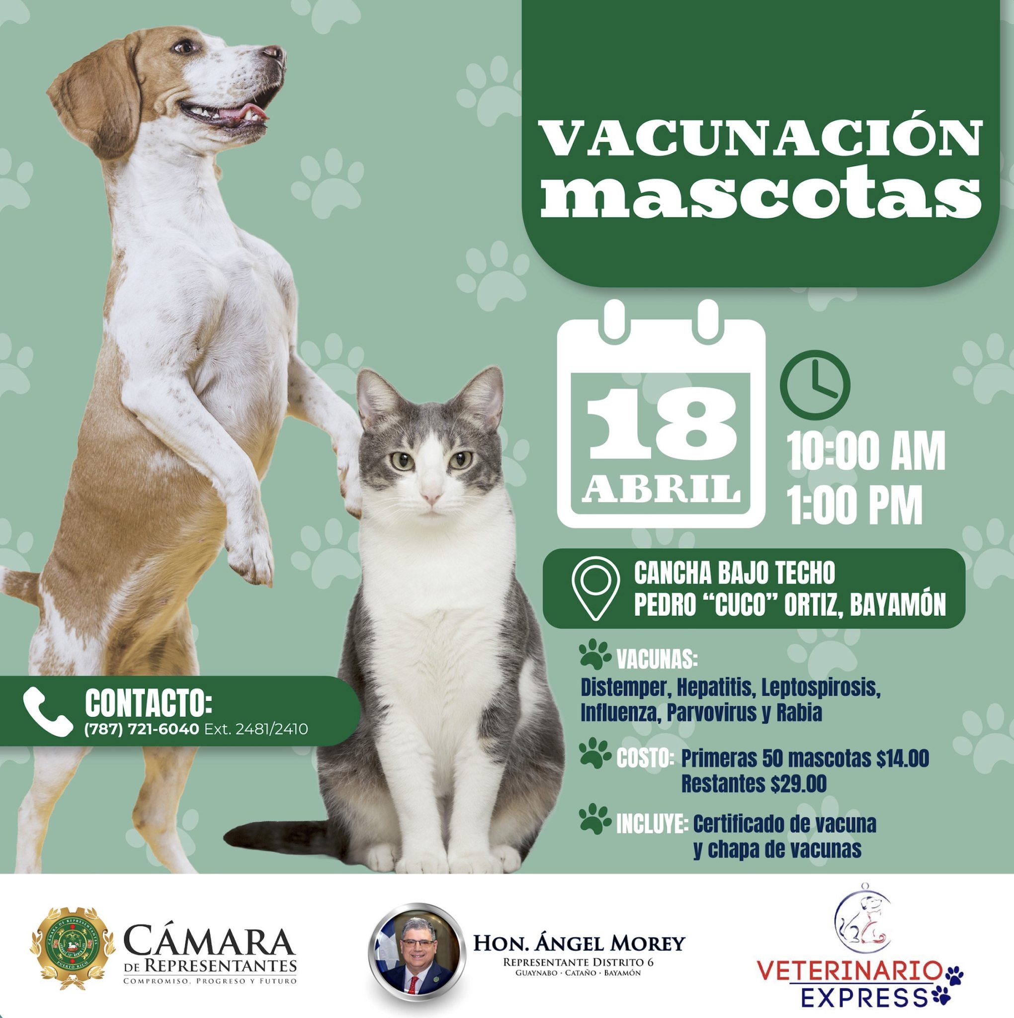 Vacunación mascotas