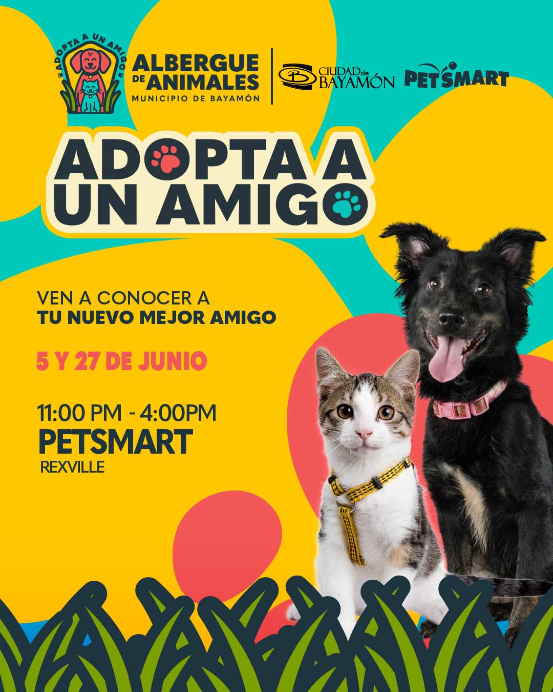 adpta a un amigo 5 y 27 de junio