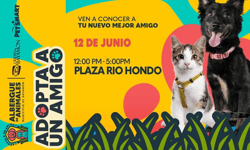 Adopta un Amigo el 12 de Junio en Plaza Rio Hondo