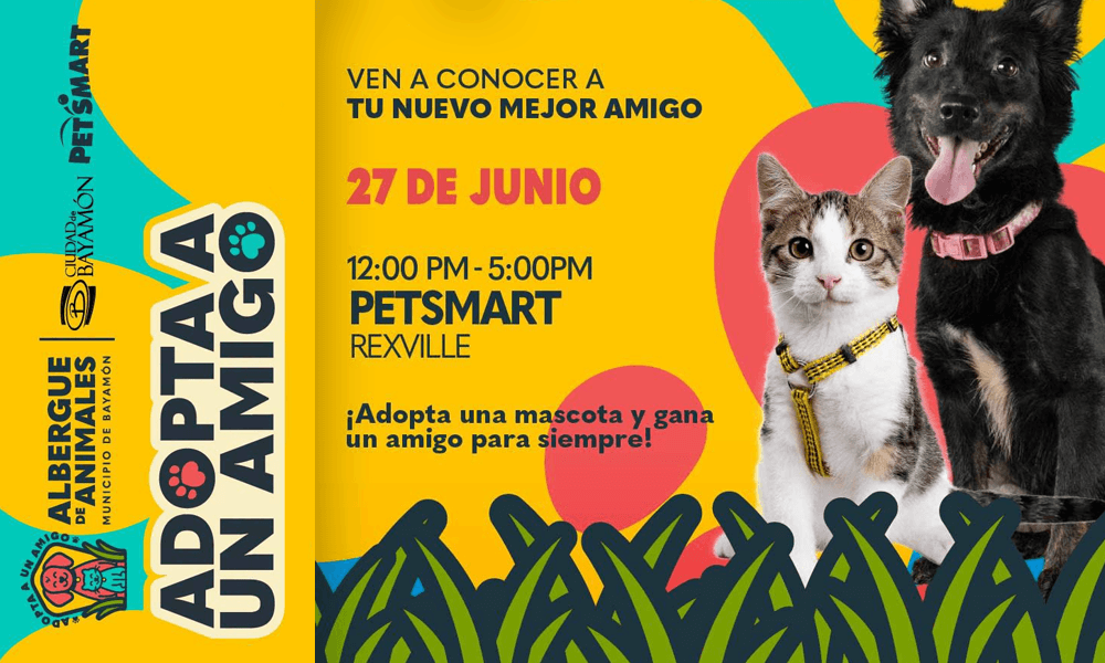 Adopta un Amigo el 27 de junio de 2026 en Petsmart de Rexville