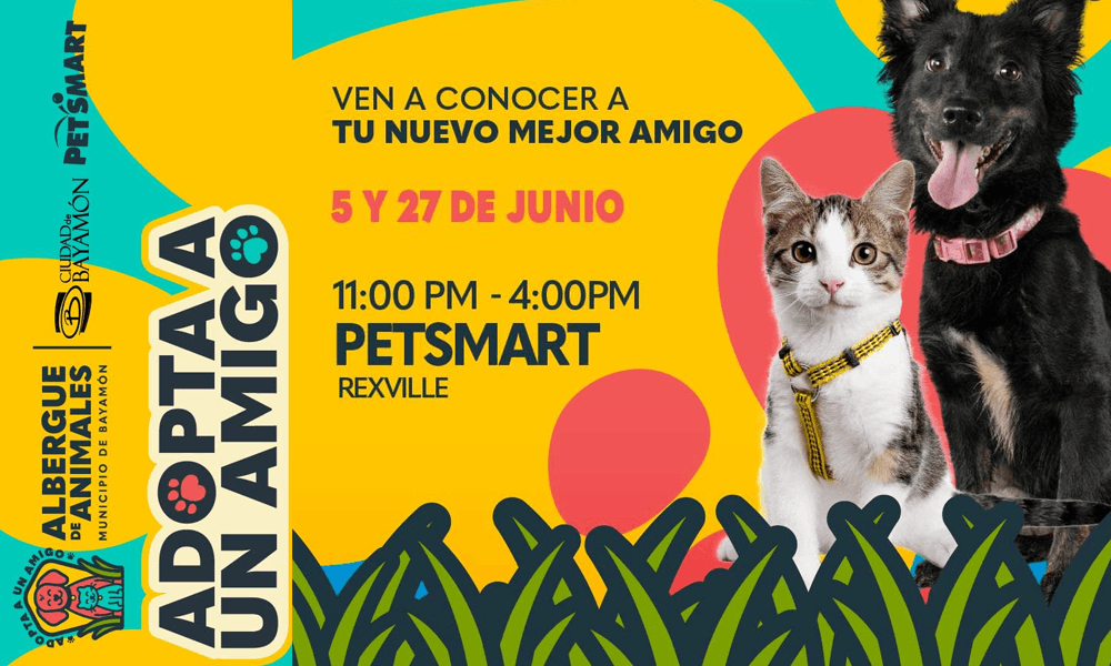 adpta a un amigo 5 y 27 de junio en Petsmart de Rexville
