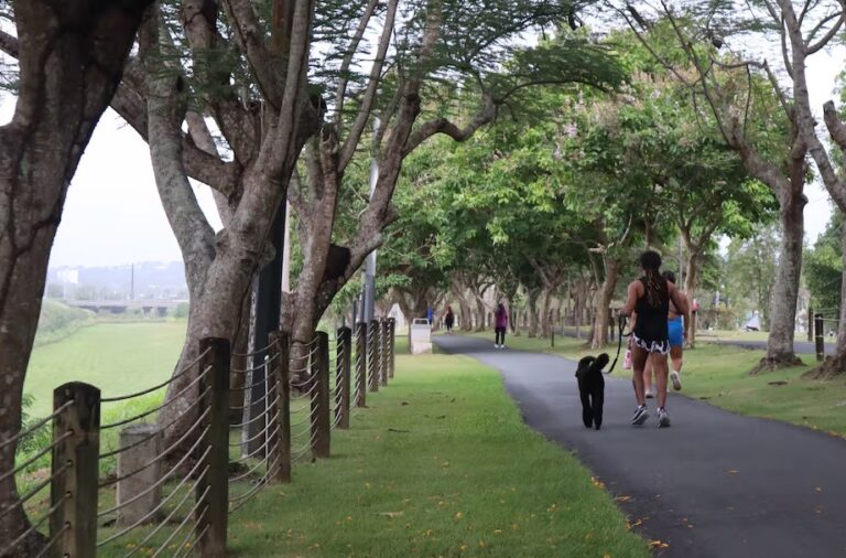 Paseo Lineal del Río Bayamón