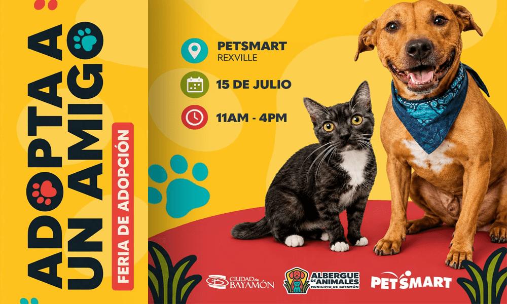 Adopta un Amigo el 15 de julio en Petsmart de Rexville