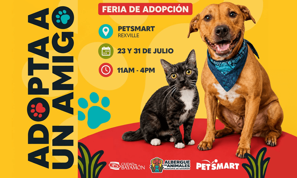 Adopta un Amigo el 23 y 31 de julio en Petsmart de Rexville