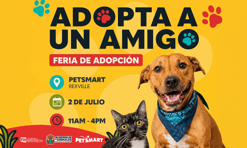 Adopta un Amigo el 2 de julio en Petsmart de Rexville