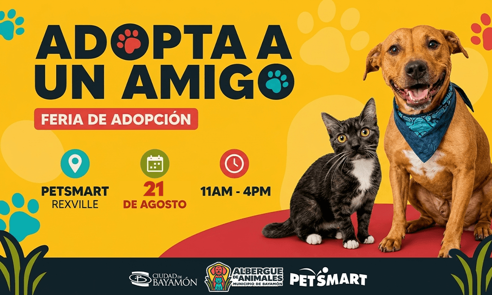 Adopta un Amigo el 21 de agosto en Petsmart de Rexville