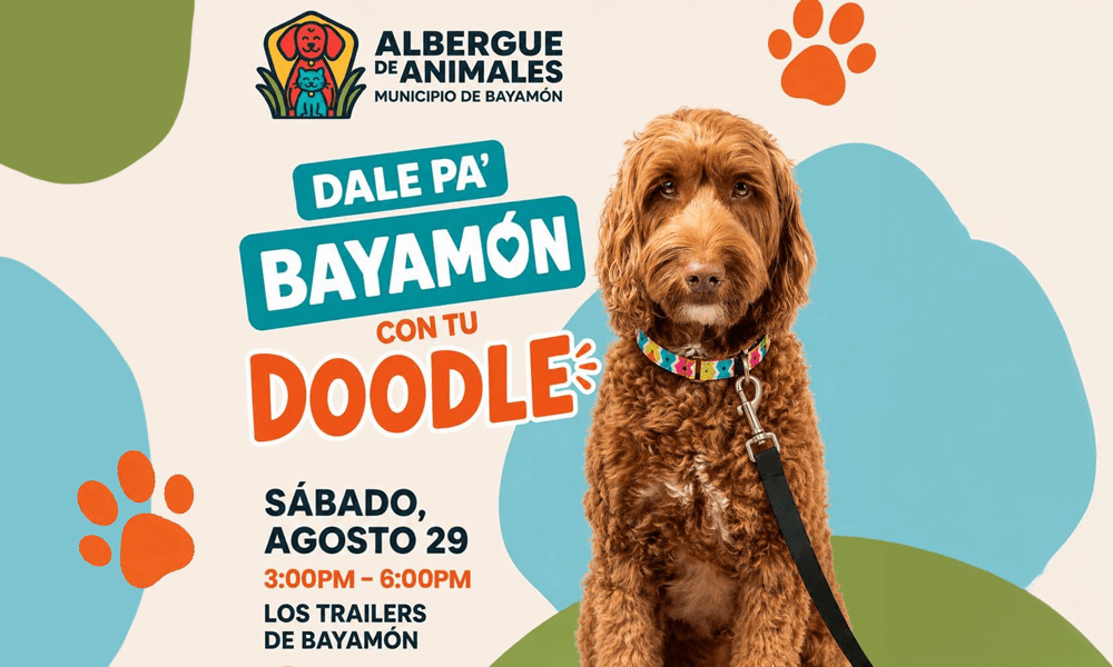 Dale pa Bayamon con tu Doodle el 29 de agosto de 2026 en los Trailers
