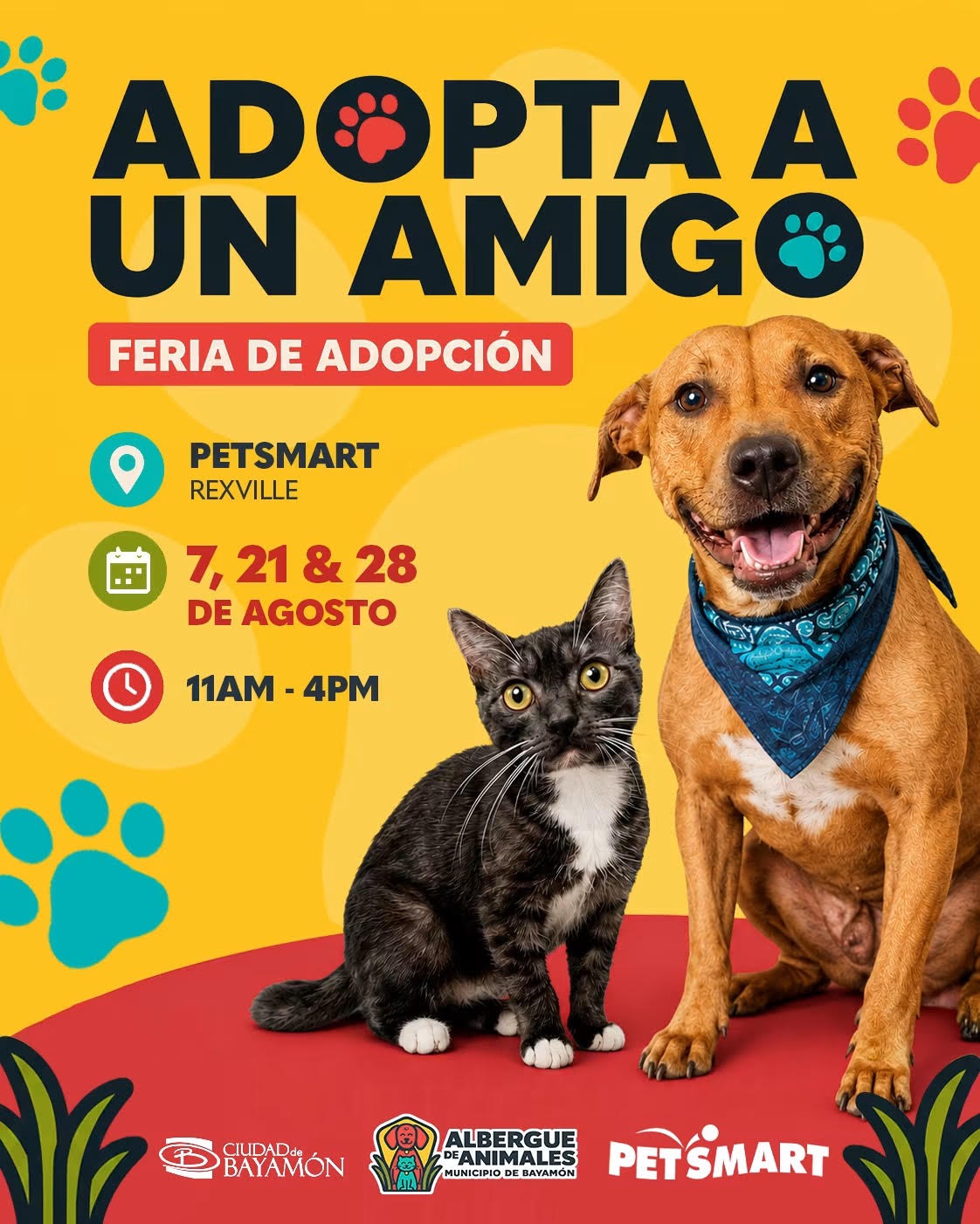 Feria de adopcion 28 de agosto
